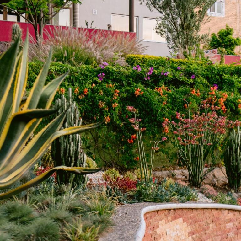 Terra Vista - Two-Bedroom Apartment - 7