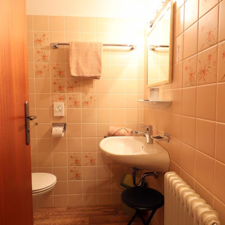 Schelpenalp Berghotel Balderschwang - Einzelzimmer mit Balkon - 11