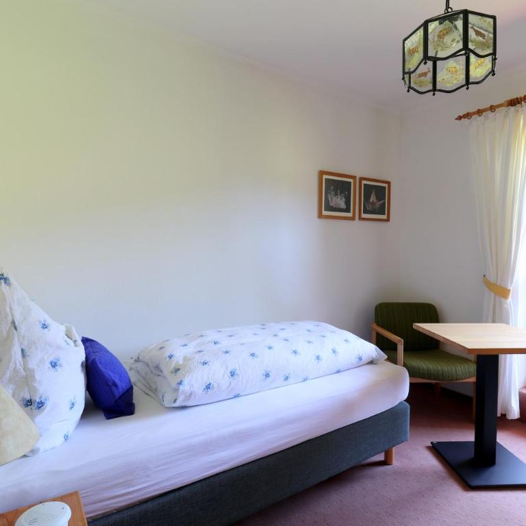 Schelpenalp Berghotel Balderschwang - Einzelzimmer mit Balkon - 7
