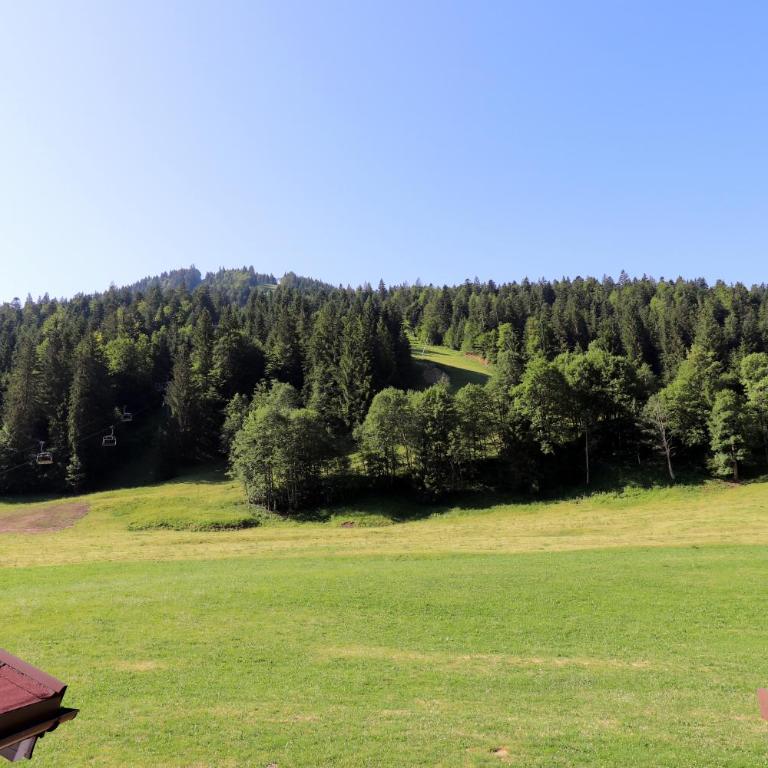 Schelpenalp Berghotel Balderschwang - Einzelzimmer mit Balkon - 10