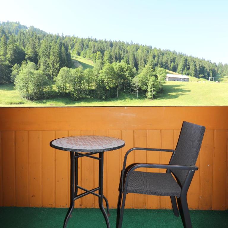Schelpenalp Berghotel Balderschwang - Einzelzimmer mit Balkon - 9