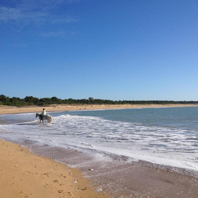 Grande Maison à 150 mètres de La Plage - Maison de Vacances - 43