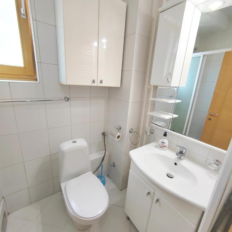 Magenta Vracar - Apartman sa 1 Spavaćom Sobom - 14