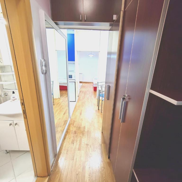 Magenta Vracar - Apartman sa 1 Spavaćom Sobom - 12