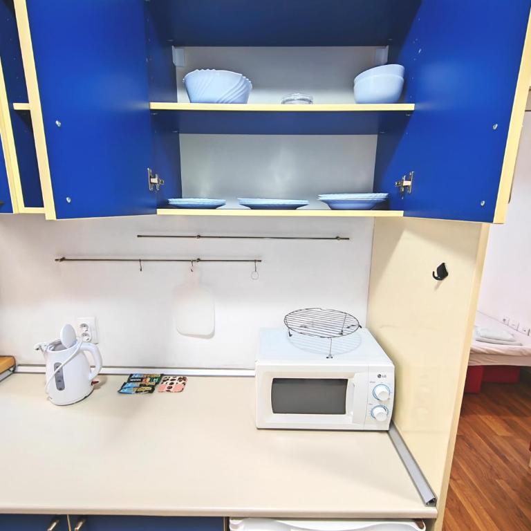 Magenta Vracar - Apartman sa 1 Spavaćom Sobom - 11