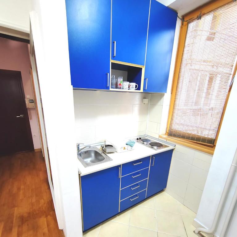 Magenta Vracar - Apartman sa 1 Spavaćom Sobom - 9