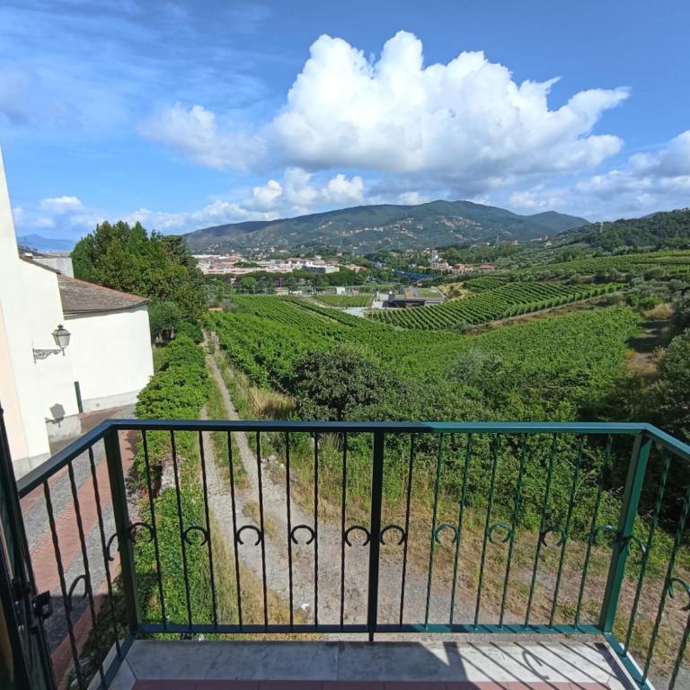 Al VIgneto - Appartamento con 1 Camera da Letto - 42
