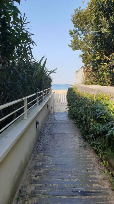 Arcarêve - Grand Studio Deluxe avec terrasse, jardin et accès plage par la résidence - Studio Double Deluxe - 27