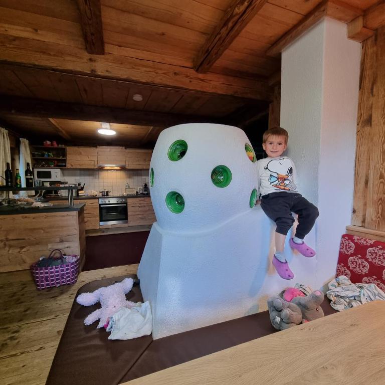Almhütte Chrisanten Thaya Sölden - Chalet - 6