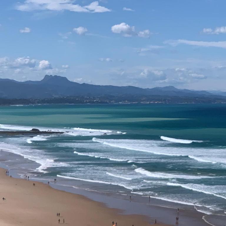 Biarritz centre, près avenue de Verdun- Plage et casino à 10 mn à pied- 4 personnes - Appartement 1 Chambre - 23