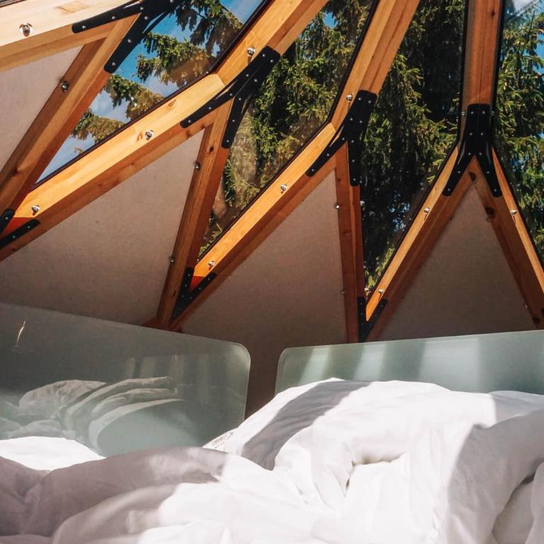 Armadillo Houses - One-Bedroom House - 40