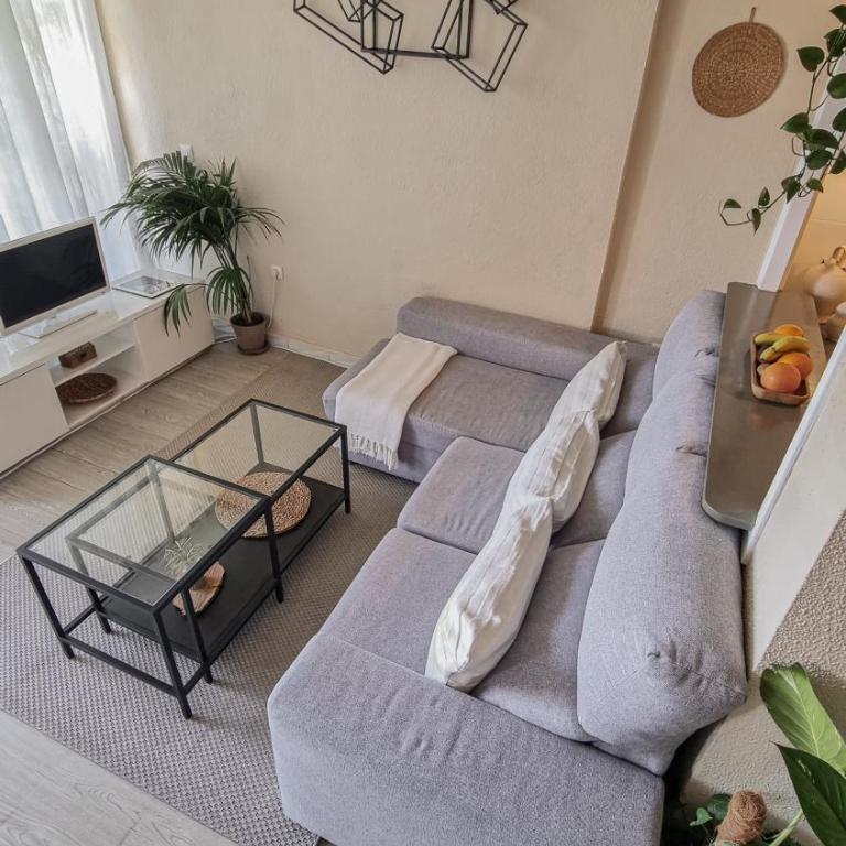 Palm House - Apartamento de 2 dormitorios - 11