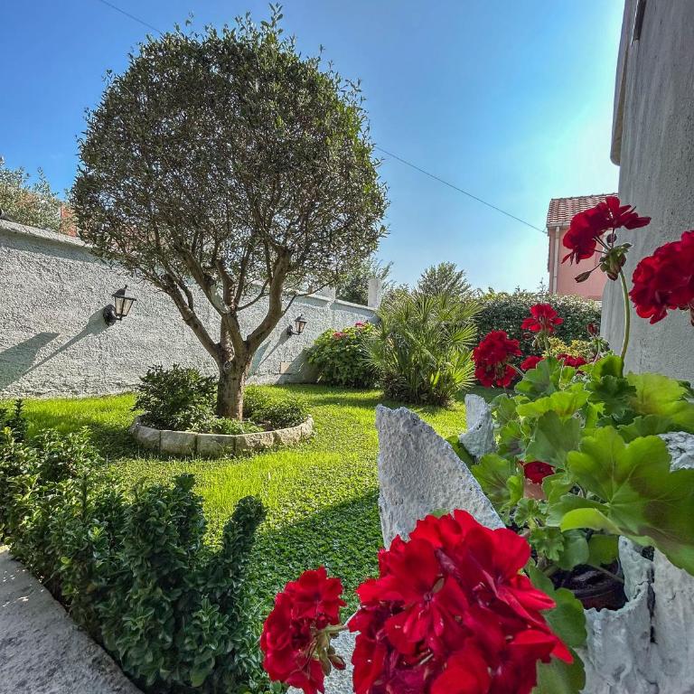 Sunset Apartment - Apartman sa 1 Spavaćom Sobom - 24