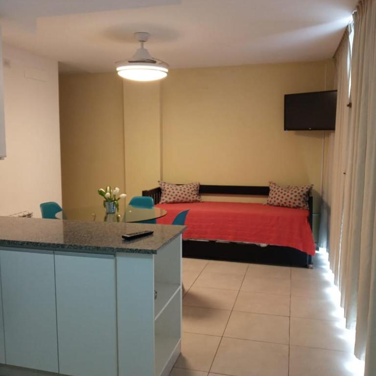 NG departamento centro - Apartamento de 1 dormitorio - 5