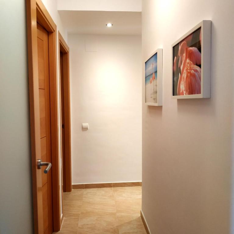 Mi Apartamento en el Delta del Ebro+ - Apartment with Balcony - 17