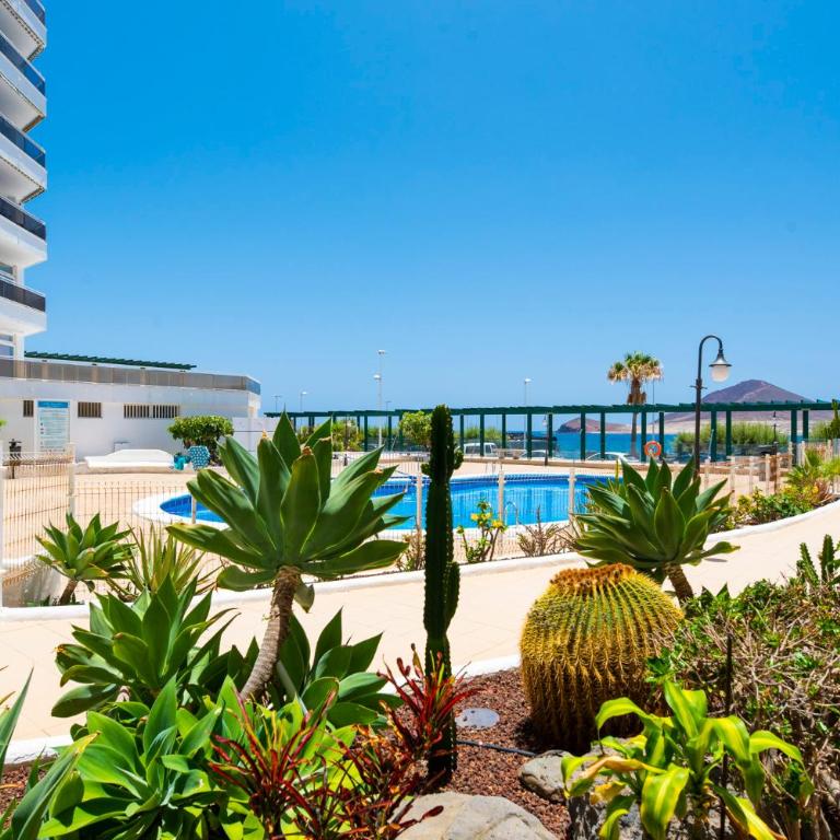 MEDANO4YOU The Chill at the Sea Holiday Home - Apartamento con vistas al mar - 13