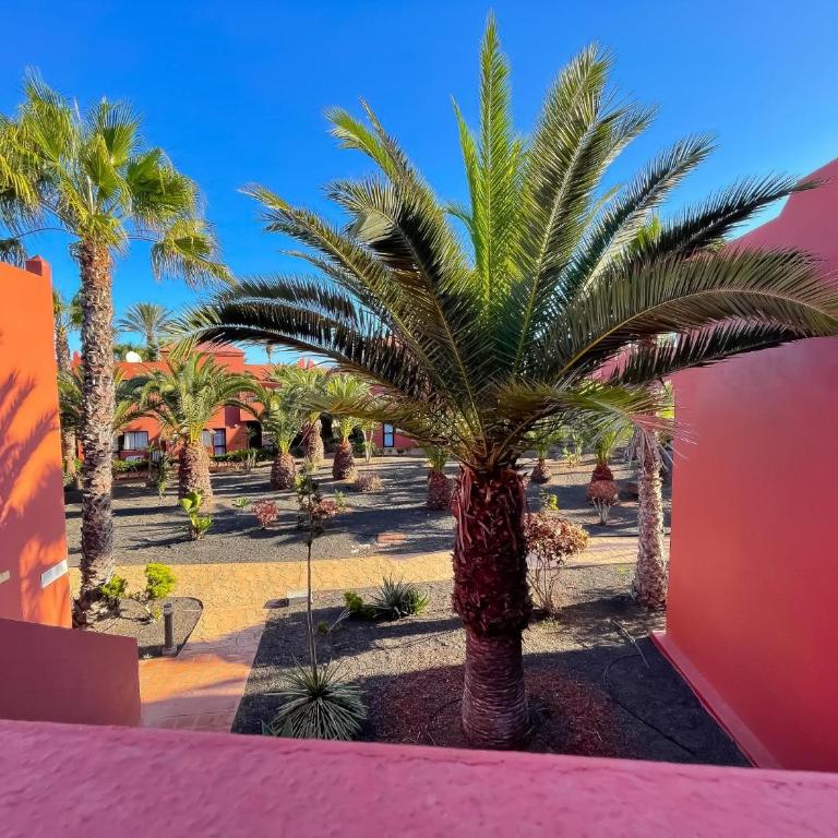 Oasis Tamarindo by Best Holidays Fuerteventura - Apartamento de 1 dormitorio - 30