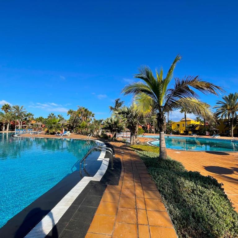 Oasis Tamarindo by Best Holidays Fuerteventura - Apartamento de 1 dormitorio - 50
