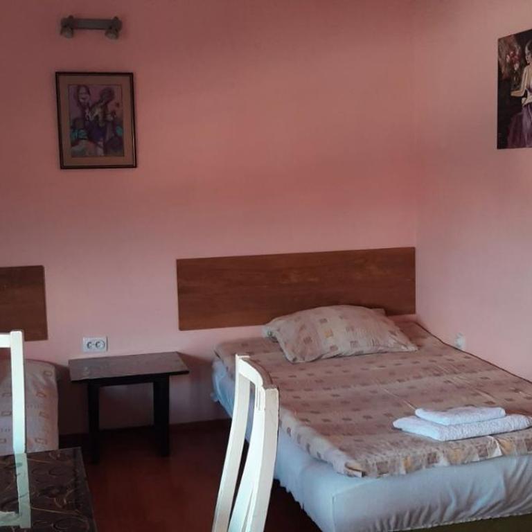 Guest House Trajkovic Jagodina - Trokrevetna Soba sa Zajedničkim Kupatilom - 20