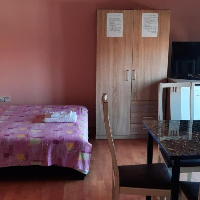 Guest House Trajkovic Jagodina - Trokrevetna Soba sa Zajedničkim Kupatilom - 17