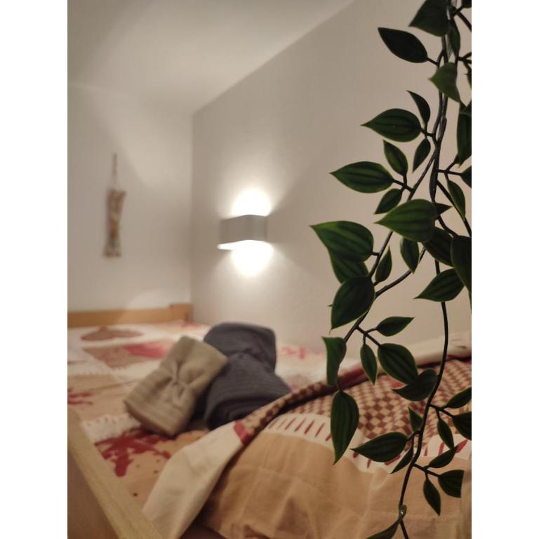 Furnished & independant flat - Brides-les-bains - Thermal spa 50m - Studio Familial - 11