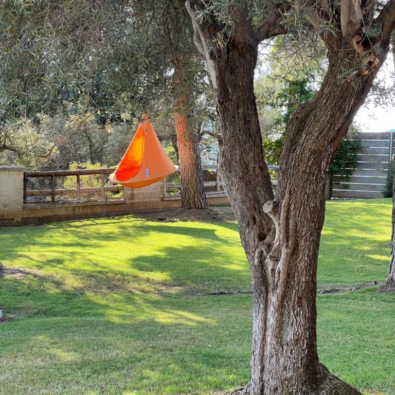LA HIGUERA - Villa con piscina privada - 28