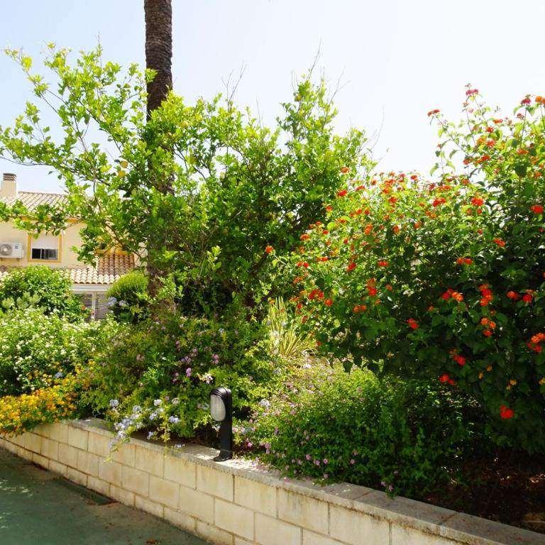 LA PLAYA OLIVA - CASA 20 Alquiler solo Familias - Apartamento de 2 dormitorios - 14