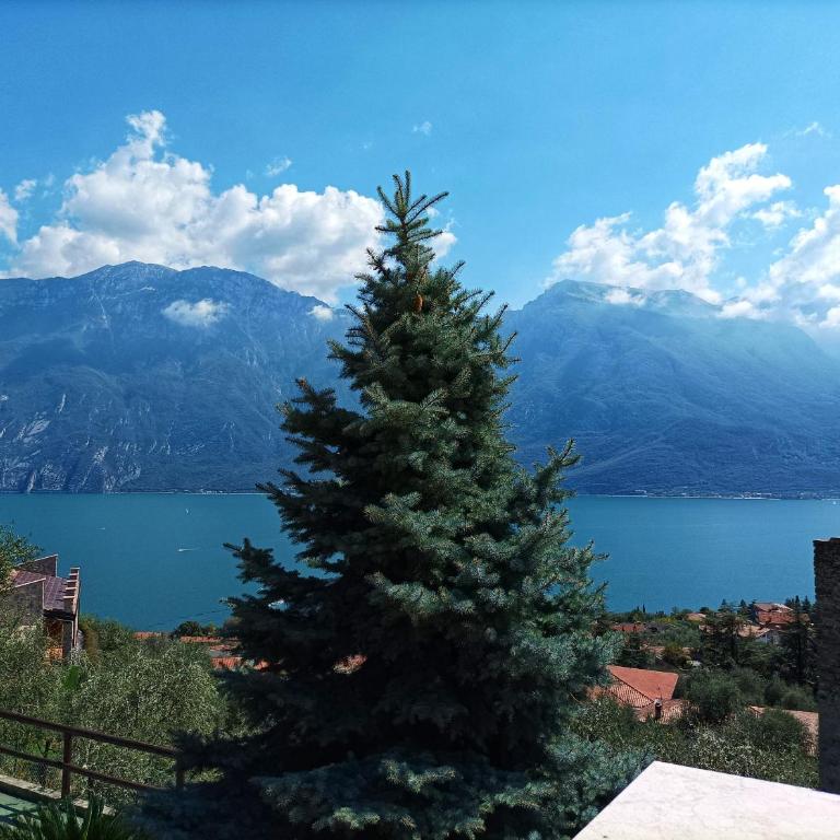 Villa Fior di Loto - Villa con 2 Camere da Letto - 33