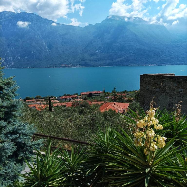 Villa Fior di Loto - Villa con 2 Camere da Letto - 42