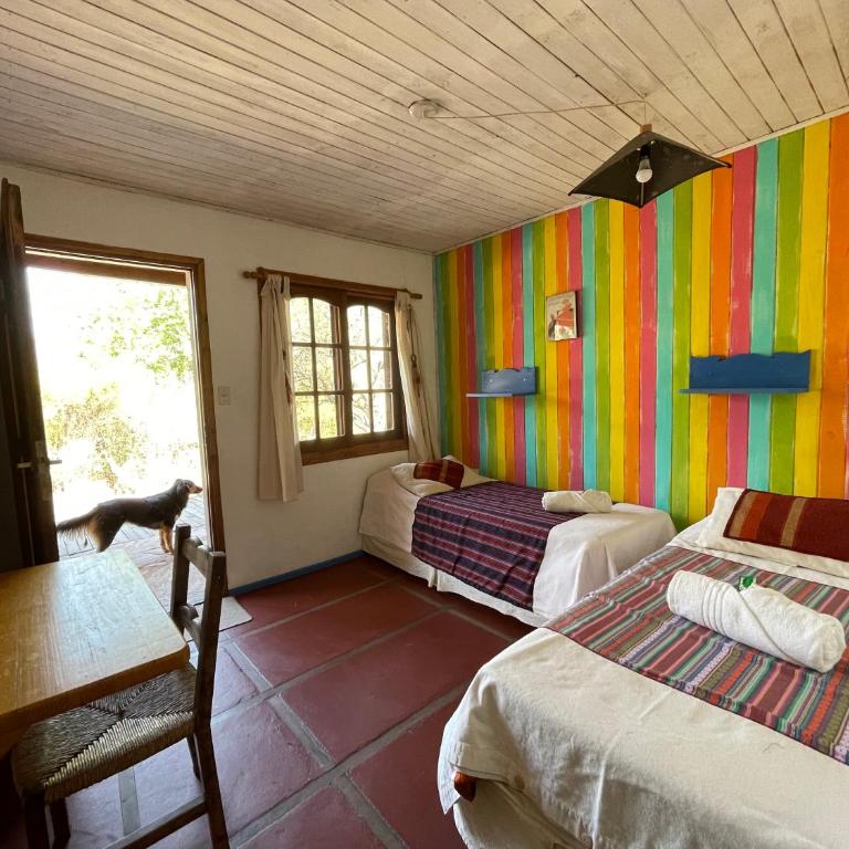 Lipi House Hostel - Cama en habitación compartida con 4 camas - 1