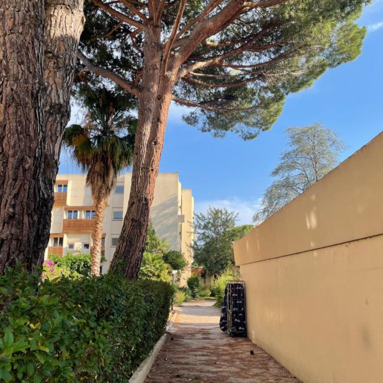 Appartement plage piscine et tennis inclus - One-Bedroom Apartment - 45