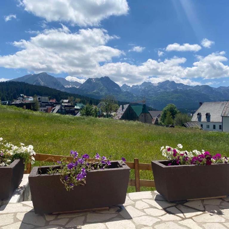 Divine House - Three-Bedroom Villa - 2