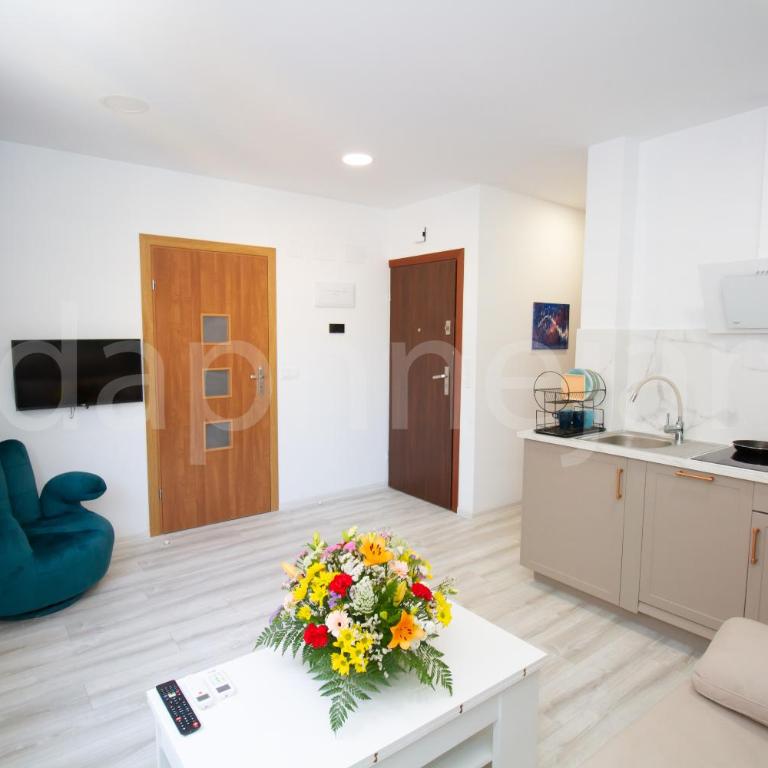 Art Apartments Alicante - Two-Bedroom Apartment - 3