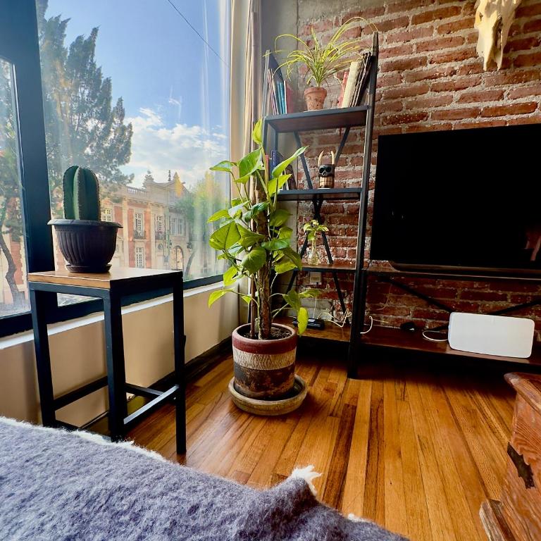 Vintage 1950's Red Brick Mexico - Appartement 1 Chambre - 7