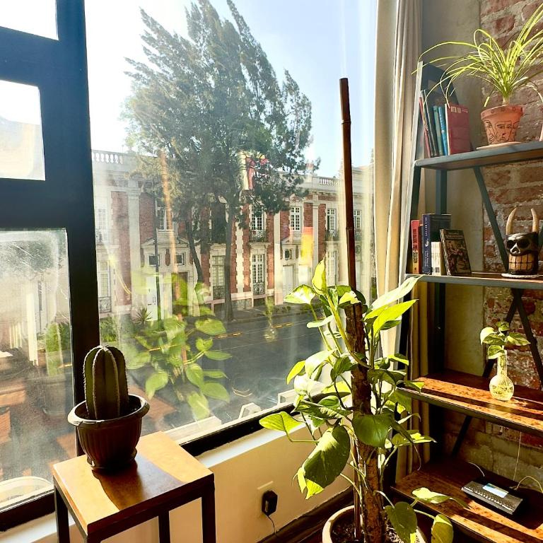 Vintage 1950's Red Brick Mexico - Appartement 1 Chambre - 10