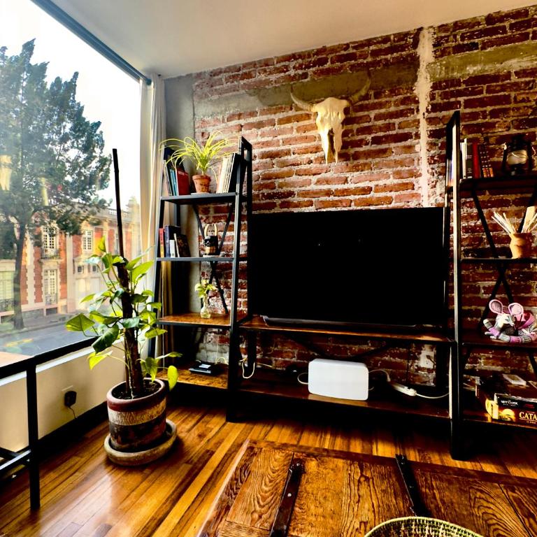 Vintage 1950's Red Brick Mexico - Appartement 1 Chambre - 21