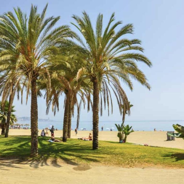 Sky Sea Holidays Málaga Turquesa - Apartamento de 2 dormitorios - 16