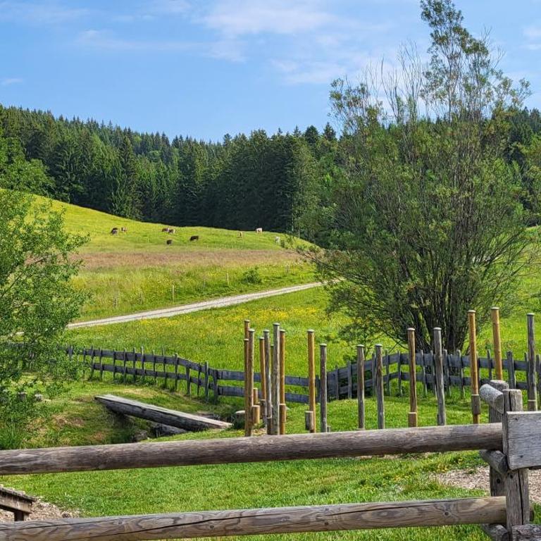 Ferienwohnung Almruhe mit Pool und Sauna & direkt am Skilift - One-Bedroom Apartment - 20