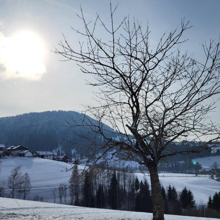 Ferienwohnung Almruhe mit Pool und Sauna & direkt am Skilift - One-Bedroom Apartment - 25