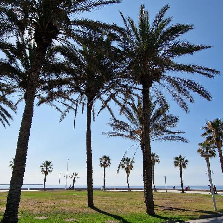 Paula Beach Malaga - Apartamento de 3 dormitorios - 18