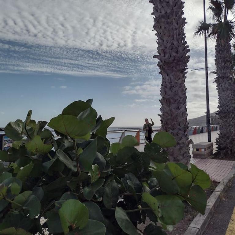Espacio tranquilo cerca del mar - Apartamento de 1 dormitorio - 12