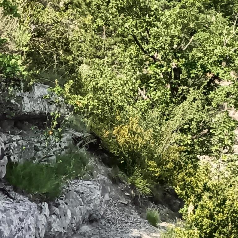 Gîte des Anges, Domaine de la Méouge, piscine et accès direct rivière - Appartement 1 Chambre - Vue sur Jardin - 33