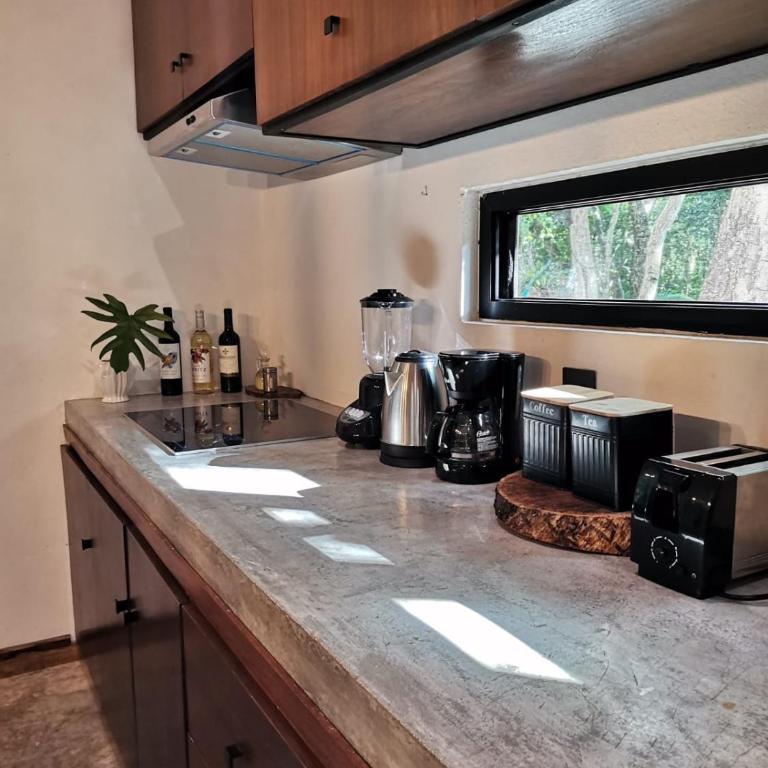 Agua & Selva luxury Jungle loft - Apartamento de 1 dormitorio - 20