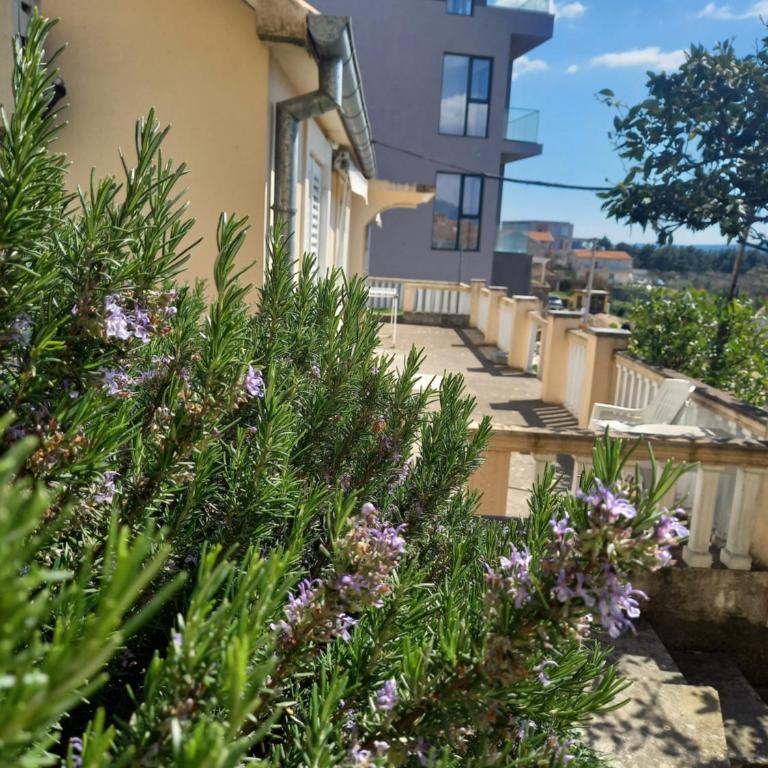 Apartman Maslovar - Apartment - Ground Floor - 17