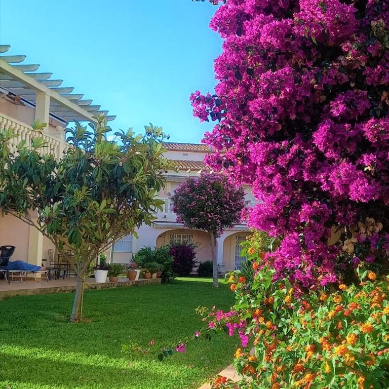 La Giralda 2 Denia Les Marines - Apartamento de 1 dormitorio - 14