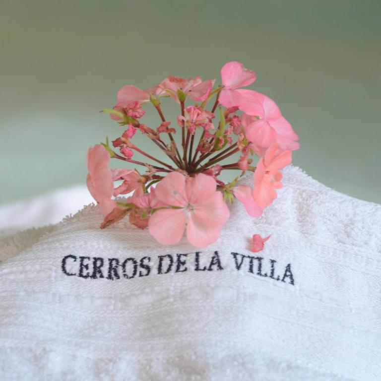 Cerros de la Villa - Apartamento - 19