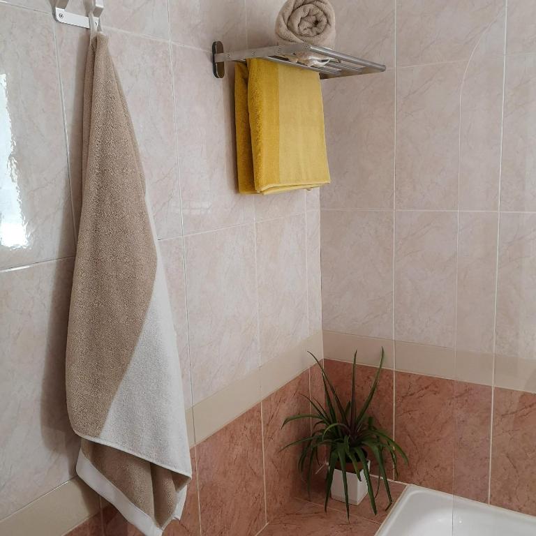 Apartamentos Mares de Lava - Playa Blanca - Apartamento de 1 dormitorio - 12
