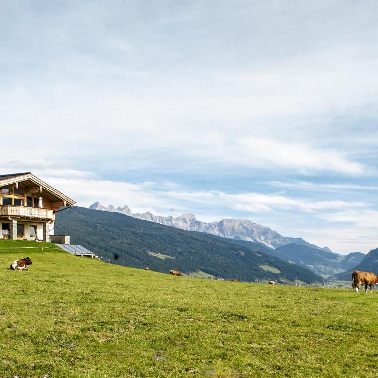 Chalet Winterbauer - Chalet - 29