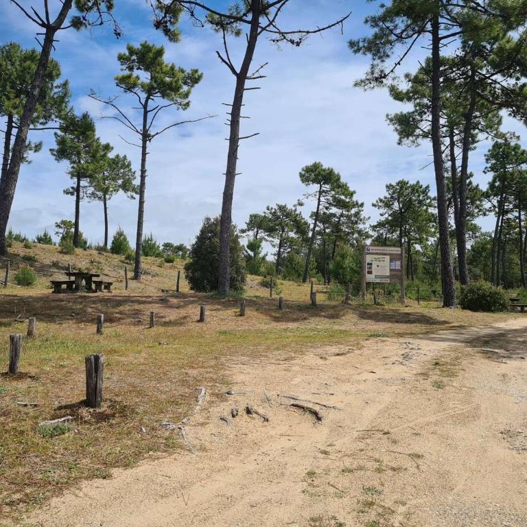 Appartement calme 4 pers proche plage avec terrasse et parking - Saint-Jean-de-Monts - FR-1-224C-259 - Apartment - 14