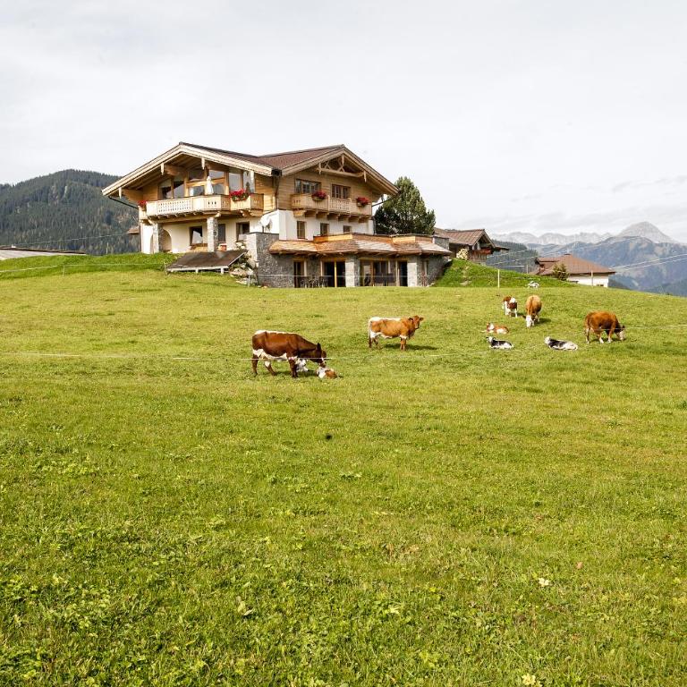Chalet Winterbauer - Chalet - 66